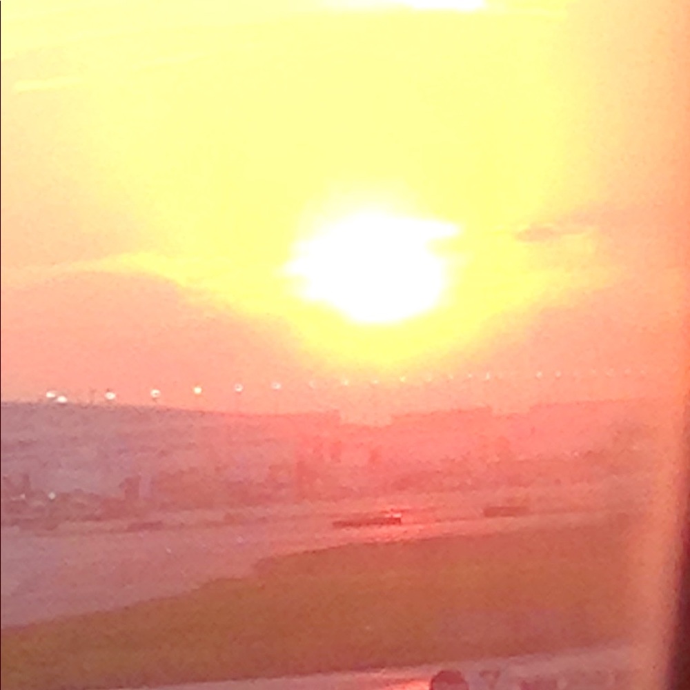 Meet your Posher, Finley